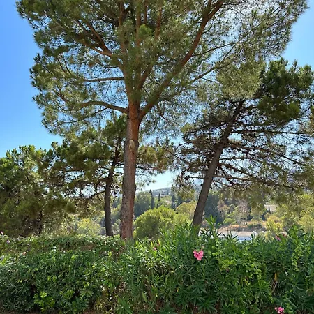 Apartment Marbella Golf Garden *