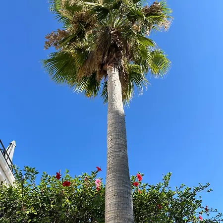 Marbella Golf Garden * Benahavis